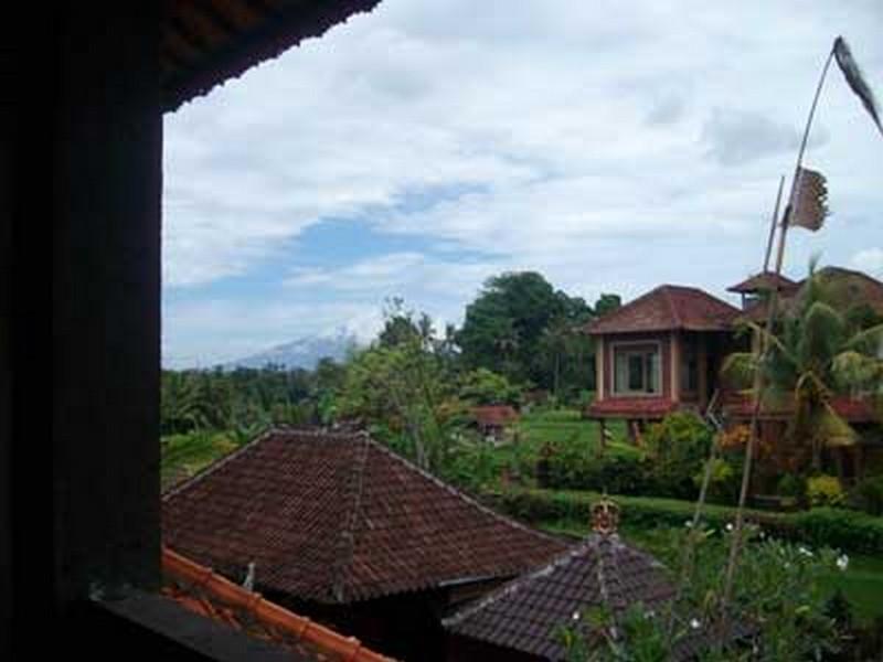 Bali Moon Guest House Ubud Kültér fotó